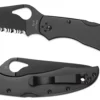 Spyderco Cara Cara® 2 Stainless Black Blade* Byrd Knives