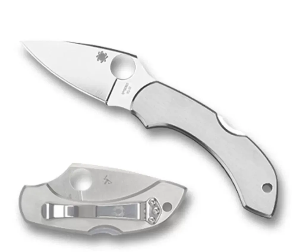 Spyderco Dragonfly™ Stainless* Clipit