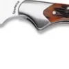 Spyderco Kiwi™ Jigged Bone* Archived Products